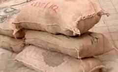 Pandya Store: How will Pandya brothers survive now? | SBS