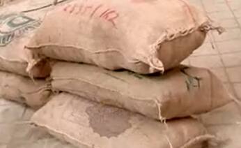 Pandya Store: How will Pandya brothers survive now? | SBS