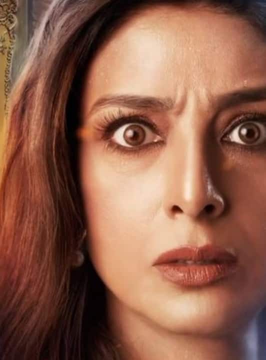 इस फिल्म में एक्ट्रेस तबू दिलचस्प रोल में नजर आएंगी. रिपोर्ट्स के मुताबिक, तब्बू ने अपने रोल के लिए 1.5 करोड़ रुपये लिए हैं.