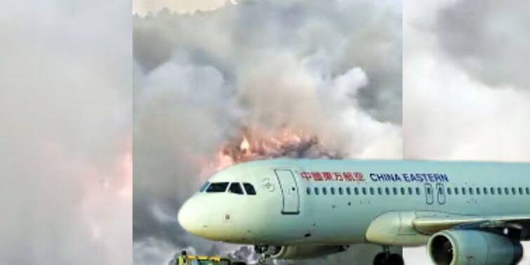 China Eastern Airlines plane crash in march 2022 may have been deliberate claims US report China Plane Crash: চোখের পলকে ২০০০০ ফুট নীচে, ইচ্ছাকৃত ভাবে ১৩২ জনকে খুন! চিনা বিমান দুর্ঘটনায় নতুন তথ্য়