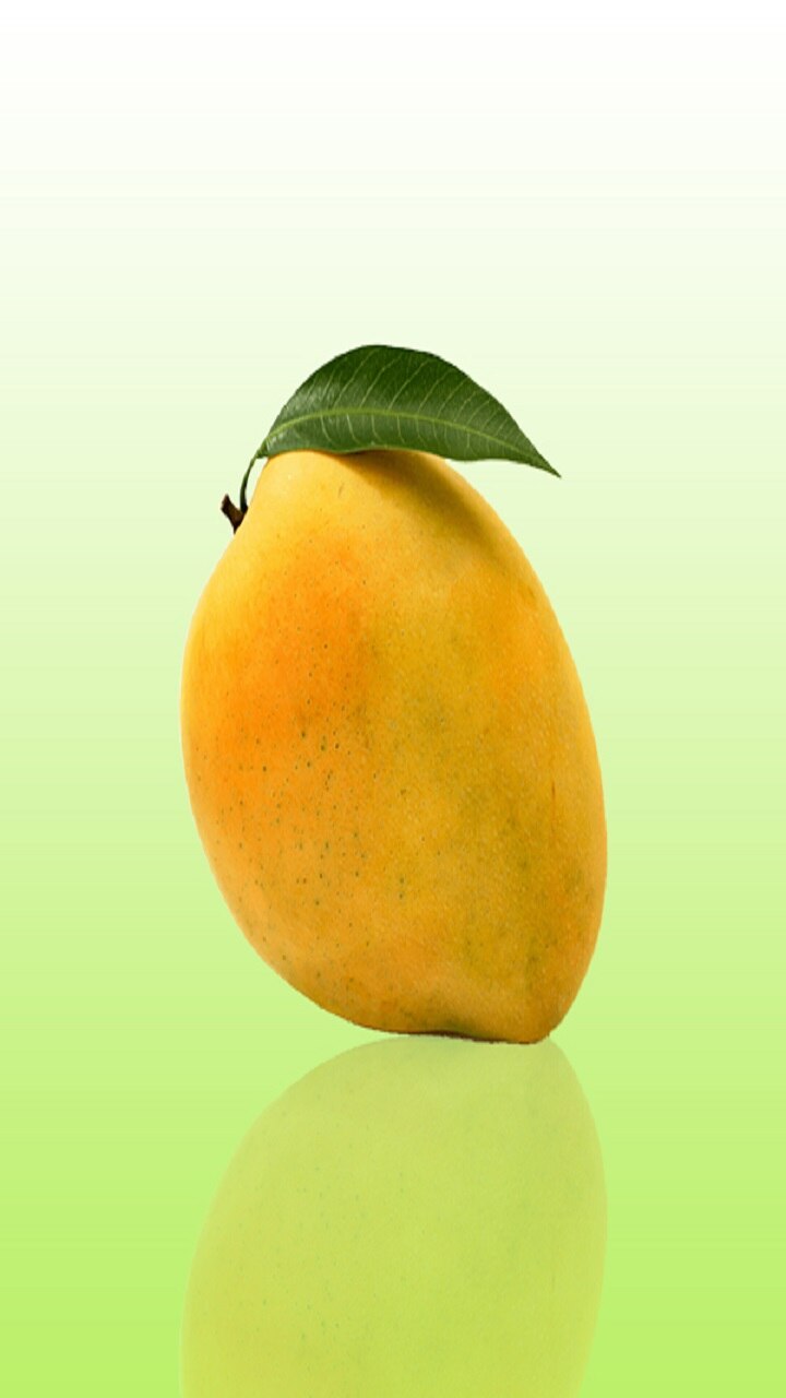 பங்கனபள்ளி