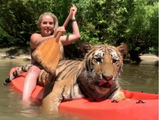 https://www.abplive.com/trending/shocking-video-of-woman-walking-on-boat-with-tiger-went-viral-2125965 Viral Video : वाघासोबत बोटीतून फिरताना दिसली महिला, व्हिडीओ पाहून तुम्हीही थक्क व्हाल