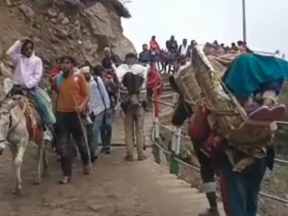 Kedarnath Dham: केदारनाथ पैदल मार्ग पर अब रोटेशन से किया जाएगा घोड़े-खच्चरों का संचालन, अब तक कट चुके हैं इतने चालान Kedarnath Dham: केदारनाथ पैदल मार्ग पर अब रोटेशन से किया जाएगा घोड़े-खच्चरों का संचालन, अब तक कट चुके हैं इतने चालान