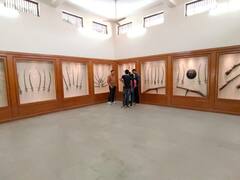 International Museum Day: बूंदी के म्यूजियम में 8वीं शताब्दी की निशानियां मौजूद, देखें ऐतिहासिक धरोहर की तस्वीरें