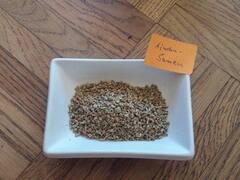 Ajwain Benefits: पाचन, मोटापा जैसी इन 6 समस्याओं को दूर कर सकता है अजवाइन, जानें इसे खाने का सही तरीका