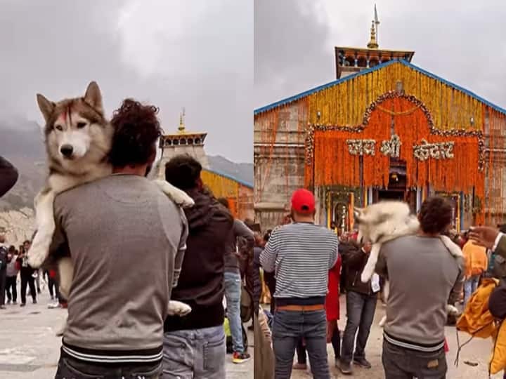 Worshiped with a dog in Kedarnath Dham and now the temple committee made this demand on viral video Kedarnath Dham: केदारनाथ धाम में कुत्ता लेकर की पूजा-अर्चना, अब मंदिर समिति ने की ये मांग