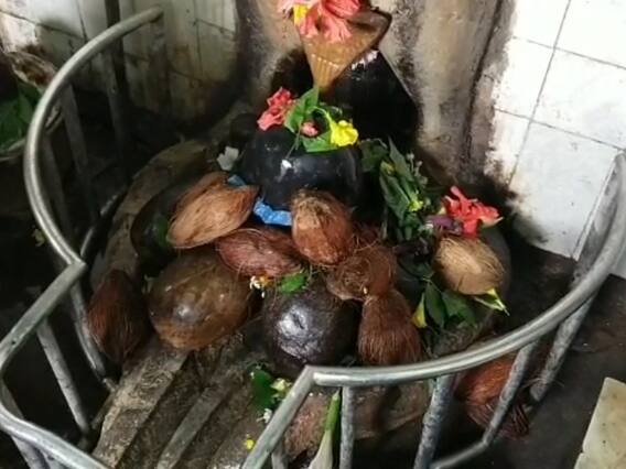 In Pics: जांजगीर चांपा के इस शिवालय में हर समय प्रकृति करती है भगवान शिव का जलाभिषेक! देखें तस्वीर