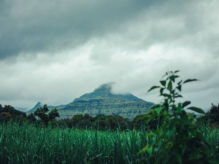Mahabaleshwar: This place is no less than a paradise for nature lovers प्रकृति प्रेमियों के लिए किसी स्वर्ग से कम नहीं Mahabaleshwar, जिंदगी में मिठास घोल देती है यहां की स्ट्रॉबेरी