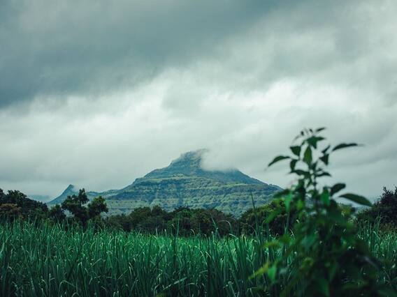 प्रकृति प्रेमियों के लिए किसी स्वर्ग से कम नहीं Mahabaleshwar, जिंदगी में मिठास घोल देती है यहां की स्ट्रॉबेरी प्रकृति प्रेमियों के लिए किसी स्वर्ग से कम नहीं Mahabaleshwar, जिंदगी में मिठास घोल देती है यहां की स्ट्रॉबेरी