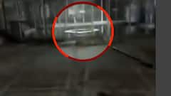 ज्ञानवापी पर वाराणसी कोर्ट में आज कौनसी कार्रवाई होगी ? देखिये रिपोर्ट