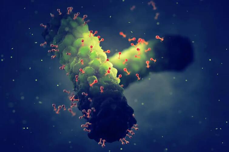 increased risk of monkeypox know reasons and symptom of monkeypox કોરોનાની વચ્ચે આ બીમારીનો પણ વધ્યો ખતરો, બ્રિટન બાદ અમેરિકામાં પણ નોંધાયા કેસ, જાણો કારણો અને લક્ષણો