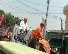 Navjot Sidhu ਨੇ ਹਾਥੀ 'ਤੇ ਚੜ੍ਹ ਕੇ ਮਹਿੰਗਾਈ ਖਿਲਾਫ ਕੀਤਾ ਪ੍ਰਦਰਸ਼ਨ | Abp Sanjha