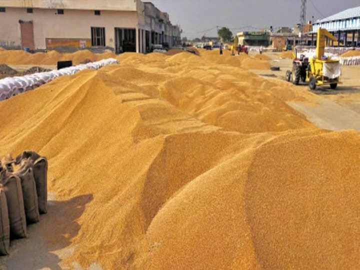 190 lakh metric tonnes of paddy will be kept in 4315 mills in the state Paddy Purchase: इस राज्य की 4315 मिलों में रखा जाएगा 190 लाख टन धान, 30 अक्टूबर तक होनी है खरीद