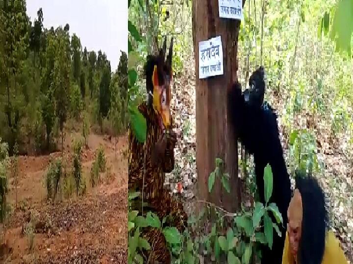 छत्तीसगढ़ के सरगुजा जिले में हसदेव जंगल को बचाने के लिए बालोद जिले के पर्यावरण प्रेमियों का अनूठा विरोध प्रदर्शन देखने को मिला है.
