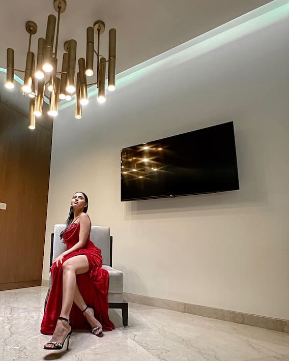 Tejasswi Prakash Gracefully Poses In A Red Slit Dress - SEE PICS