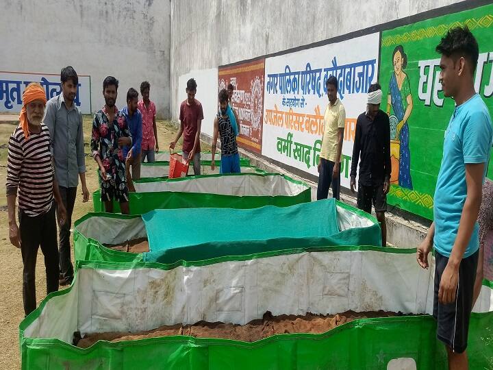 Chhattisgarh News: Prisoners making vermicompost from cow dung and farming green vegetables in Mahasamund district jail ann Chhattisgarh News: इस जेल में कैदी घर की तरह करते हैं काम, गोबर से बना रहे वर्मी कंपोस्ट और उगा रहे हैं हरी सब्जी