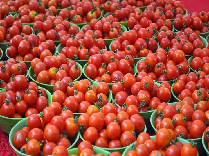 Tomato price shoots up to ₹100 per kg in chennai Tomato price: சத்தமில்லாமல் உச்சத்தில் ஏறிய தக்காளி.. தலைசுற்ற வைக்கும் மார்க்கெட் விலை!