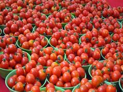 Tomato price: சத்தமில்லாமல் உச்சத்தில் ஏறிய தக்காளி.. தலைசுற்ற வைக்கும் மார்க்கெட் விலை!