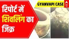 Gyanvapi Row: 'Shivling' was mentioned in the survey report; details here | ABP News