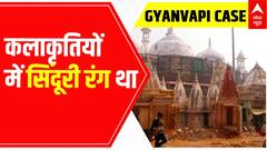 Gyanvapi Masjid Row: 'Artifacts had vermilion color', claims report | ABP News