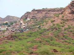 Jodhpur News: जोधपुर में वन विभाग के खाली जमीन की बंदरबांट, लाखों की सरकारी जमीन के मालिक बन रहे लोग, देखें तस्वीरों में