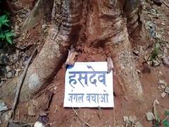 In Pics: हसदेव जंगल को बचाने के लिए शेर, भालू और हिरण ने किया प्रदर्शन