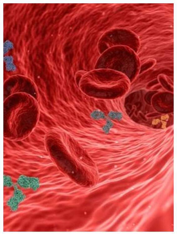 खून की कमी होने पर शरीर में दिखते हैं ये लक्षण