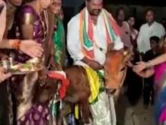 புதிதாக பிறந்த கன்றுக்கு பெயர் சூட்டும் விழா… பிரம்மாண்டமாக நடத்திய தம்பதியினர்! தெலங்கானாவில் ருசீகரம்…