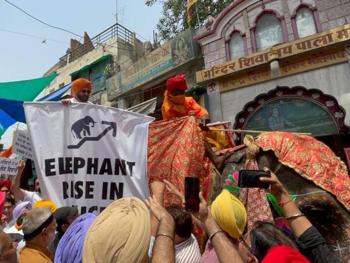 Punjab News: नवजोत सिंह सिद्धू ने हाथी पर सवार होकर महंगाई के खिलाफ किया प्रदर्शन, केंद्र और राज्य सरकार को घेरा Punjab News Navjot Singh Sidhu rode on an elephant and demonstrated against inflation, targeted Bhagwant Mann government Punjab News: नवजोत सिंह सिद्धू ने हाथी पर सवार होकर महंगाई के खिलाफ किया प्रदर्शन, केंद्र और राज्य सरकार को घेरा