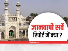 Gyanvapi Mosque Case: कमल के निशान, सिंदूरी रंग और देवताओं की आकृतियां, अजय मिश्रा की रिपोर्ट में क्या है?