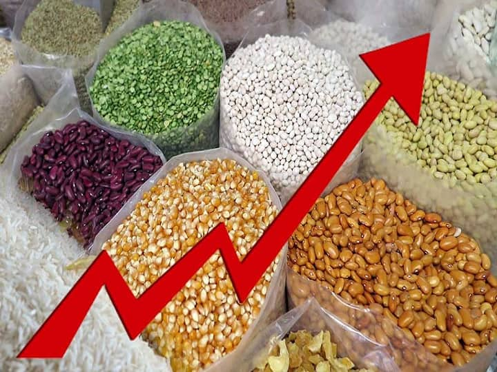 WPI Inflation Rises to record high of 15.88 pc in May from 15.08 pc in April Govt data WPI Inflation: টানা ১৪ মাস দুই সংখ্যাতেই পাইকারি মূদ্রাস্ফীতি, ফের রেকর্ড গড়ল সূচক