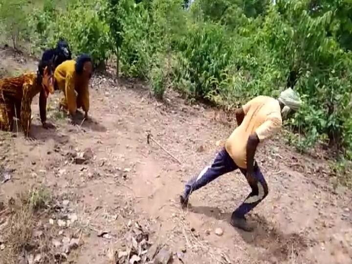 छत्तीसगढ़ के बालोद में हसदेव के जंगल को बचाने के लिए प्रकृति प्रेमियों ने अलग तरह का प्रदर्शन किया है. प्रकृति प्रेमियों ने वन्य प्राणियों का रूप धारण करके जंगल को बचाने का प्रदर्शन किया.