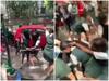 Viral Video : कुणी एकमेकींचे केस ओढले, तर कुणी कपडे! शाळकरी मुलींमध्ये फ्री स्टाईल हाणामारी! सोशल मीडियावर व्हिडीओ व्हायरल