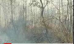 અરવલ્લીના મેઘરજના ડુંગરમાં લાગી ભીષણ આગ, જુઓ વીડિયો