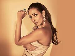 Malaika Arora: स्ट्रेच मार्क्स दिखने पर ट्रोल हुई थीं मलाइका अरोड़ा, मज़ाक उड़ाने वालों को ऐसे दिया था करारा जवाब!