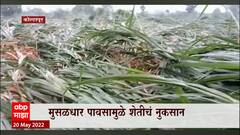 Kolhapur Rains : मुसळधार पावसामुळे कोल्हापूर जिल्ह्यात शेतीचे मोठे नुकसान ABP Majha