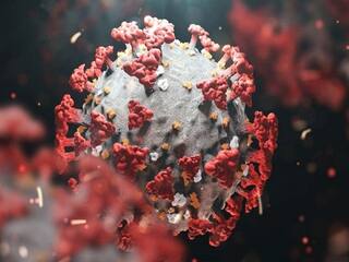 Omicron Subvariant BA.4 Case: இந்தியாவில் குறையும் கொரோனா... ஆனால் ட்விஸ்ட்! பதிவானது புதிய வகை...!
