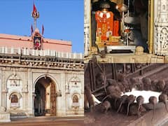 Karni Mata Mandir: बीकानेर का वो मंदिर जहां पूजा के दौरान 20 हजार से ज्यादा चूहों को लगाया जाता है भोग, जानिए इसका रोचक रहस्य