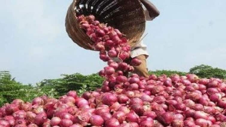 onions were sold for 50 paise a kilo,In Ratlam's Sailana Mandi madhya pradesh APMCમાં 50 પૈસે કિલો વેંચાઈ ડુંગળી, કેવી રીતે થશે ખેડૂતોની આવક  બમણી ?