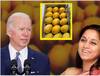 Joe Biden News : महाराष्ट्राचा हापूस थेट बायडन यांच्या दारी, पुण्यातून व्हाईट हाऊसमध्ये आंब्याची पेटी रवाना