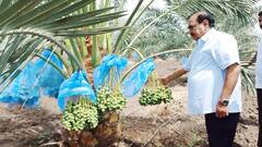 एकनाथ खडसेंची 'खजूराची शेती', पाहा फोटो