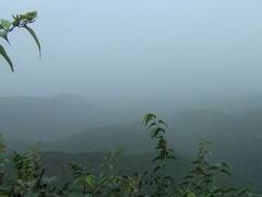 PHOTO : महाराष्ट्राच्या चेरापुंजीत धुक्याची चादर, आंबोलीत आल्हाददायक वातावरण