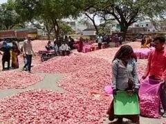 Ratlam News: रतलाम के सैलाना मंडी में 50 पैसे प्रति किलो बिका प्याज, किसान बोले- इससे अच्छा अपने मवेशियों को खिला दें