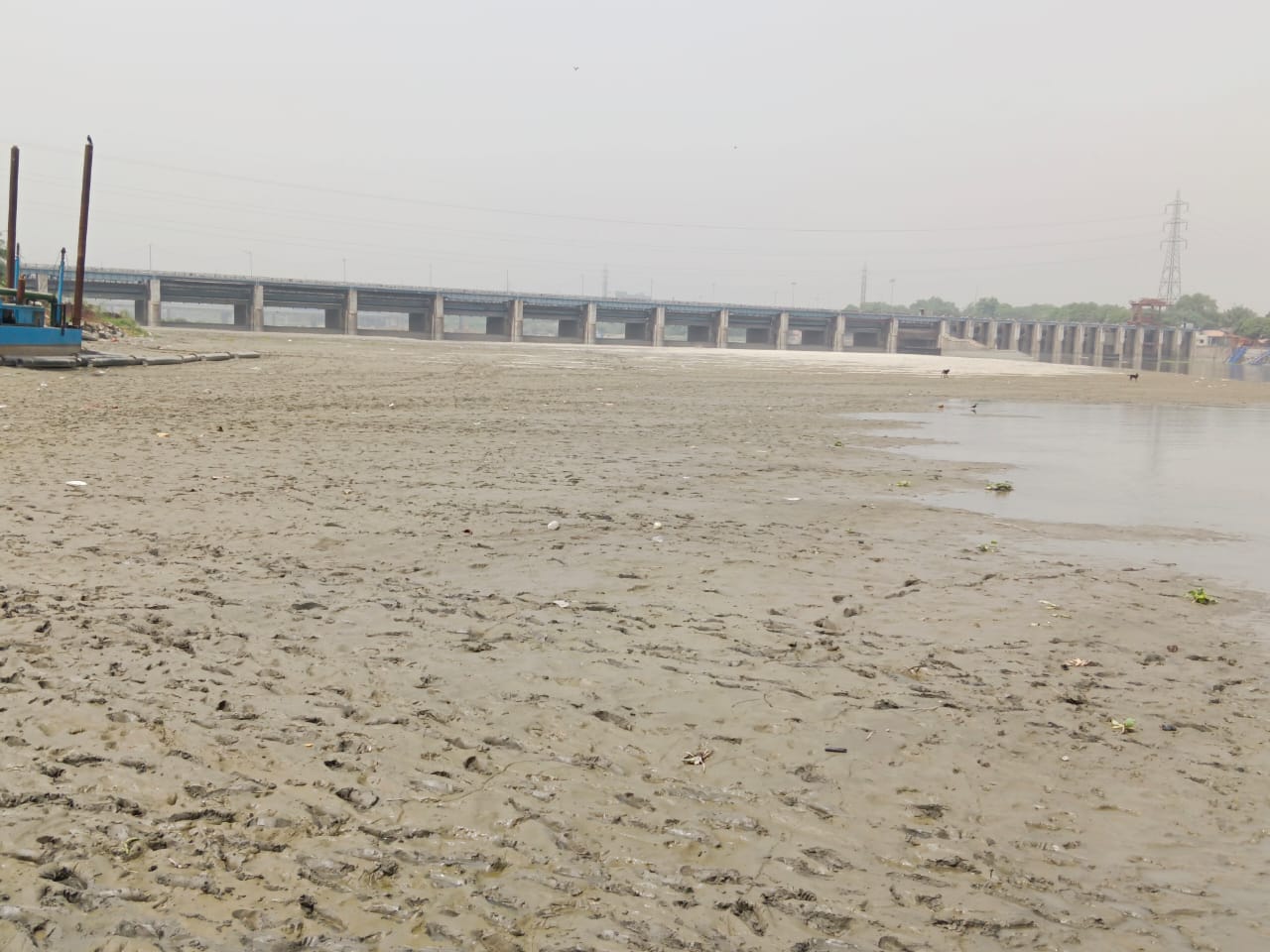 Yamuna River: हरियाणा से लेकर दिल्ली तक क्या है यमुना की स्थिति, आख़िर क्यों सूख रही है नदी?