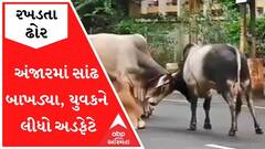 કચ્છઃ અંજારમાં રખડતા સાંઢ બાખડ્યા, બાઇક પર જતાં યુવકને લીધો અડફેટે