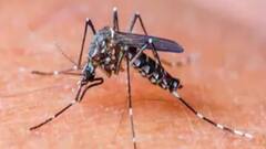 Jalpaiguri: বাড়ছে ডেঙ্গির প্রকোপ, জলপাইগুড়িতে মশা মারতে ভাঙা হল ১২ বছরের পুরনো পরিত্যক্ত ট্যাঙ্ক।Bangla News