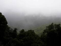 PHOTO : महाराष्ट्राच्या चेरापुंजीत धुक्याची चादर, आंबोलीत आल्हाददायक वातावरण