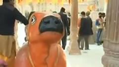 Meerut में अवैध निर्माणों पर बड़ी कार्रवाई, 25 निर्माणाधीन कॉलोनियों पर चला बुलडोजर