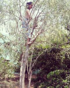 Bigg Boss Telugu OTT Bindu Madhavi: మునగ చెట్టెక్కిన బిందుమాధవి