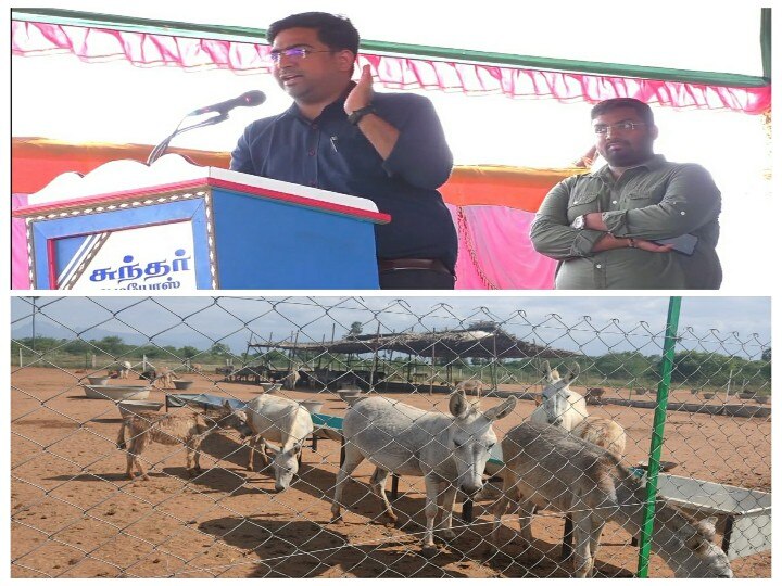 ஆம் கழுதை வளர்ப்பிலும் சாதித்து காட்டலாம்; முன்னுதாரணமாக விளங்கும் நெல்லை பட்டதாரி இளைஞர்